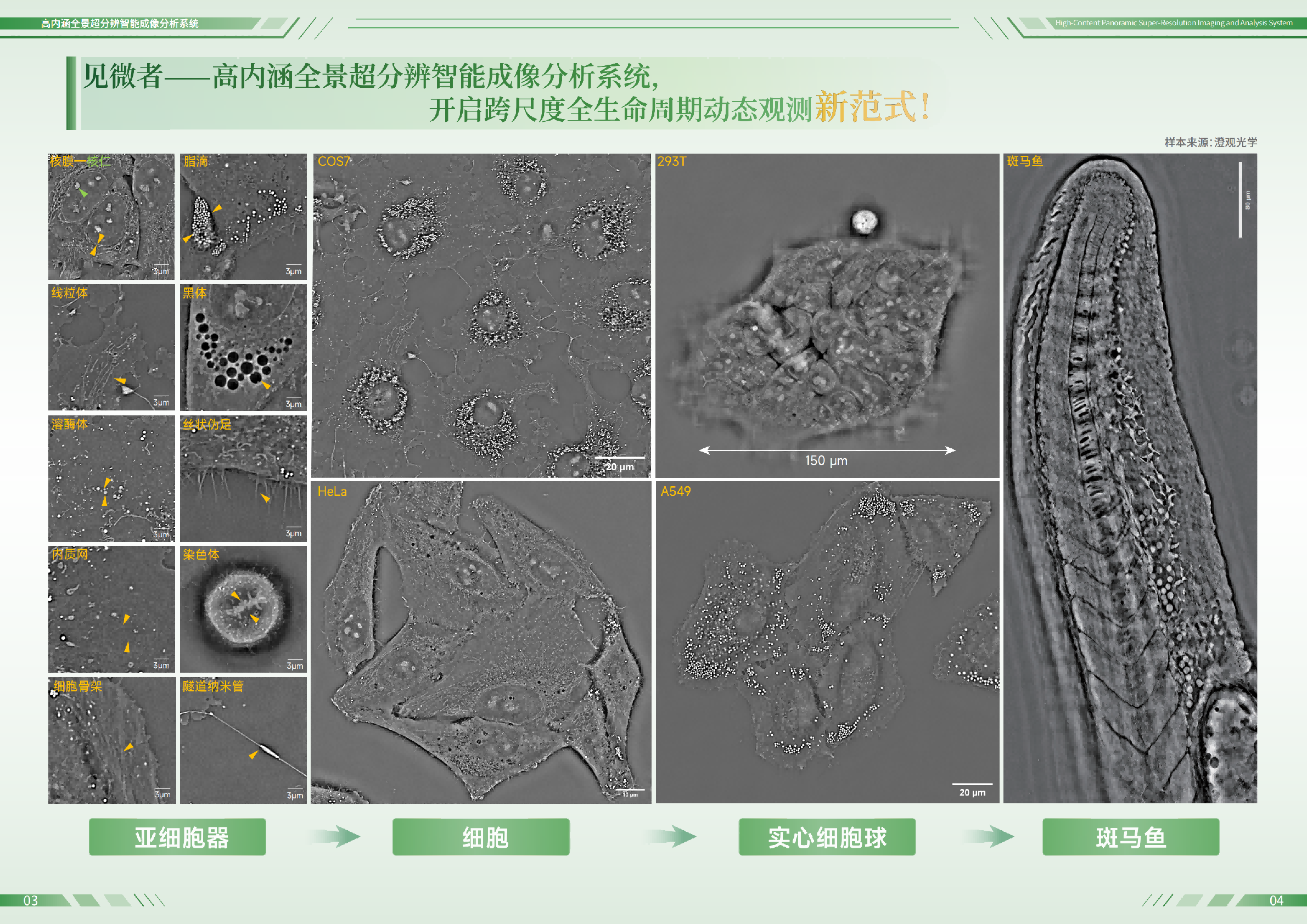 图片(1).png